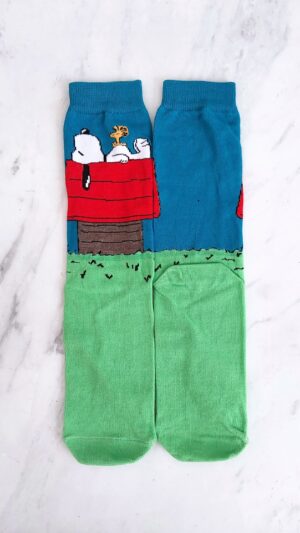 Snoopy Casita
